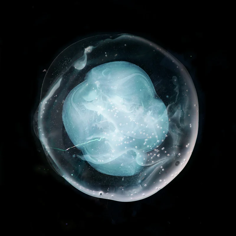2026_05_08_2893482