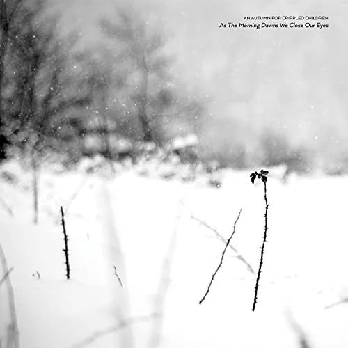 2026_05_10_3253627