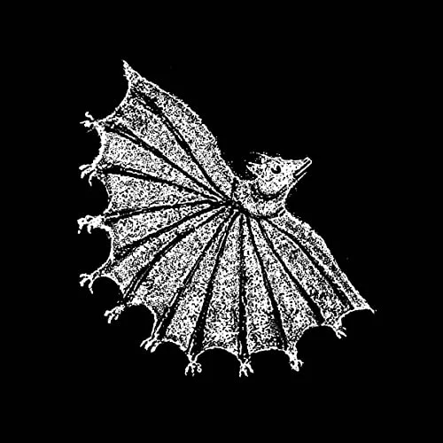 2026_05_10_3275147