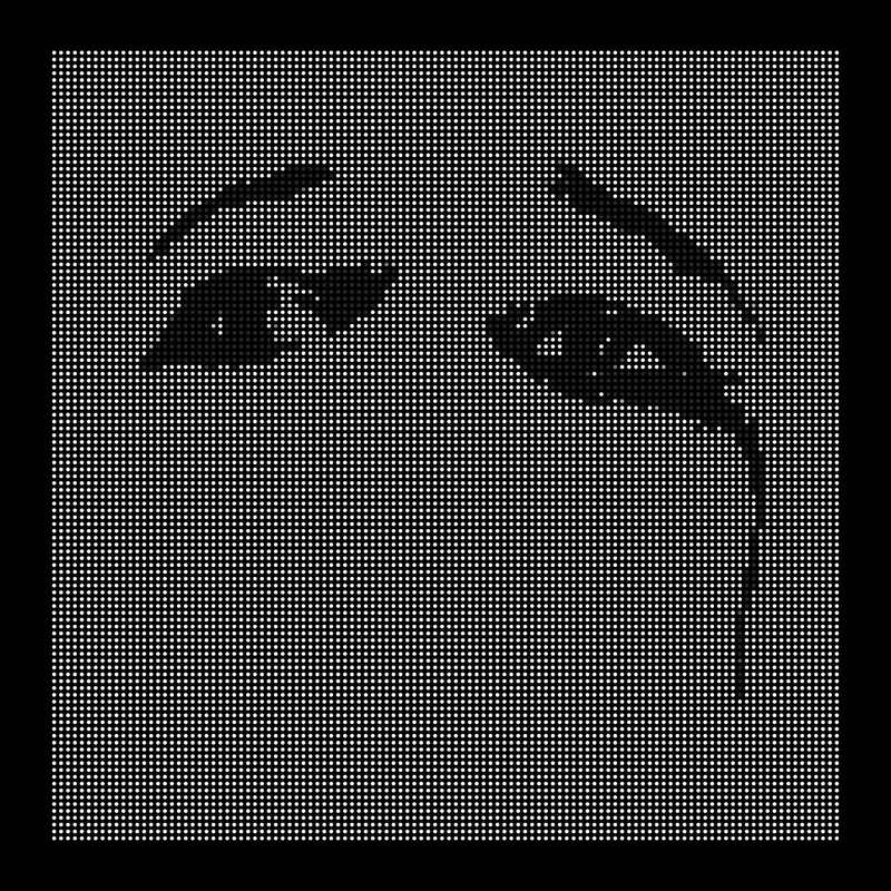 strangerthanparadiserecords202605071120492713680