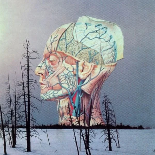 strangerthanparadiserecords202605071317472740198
