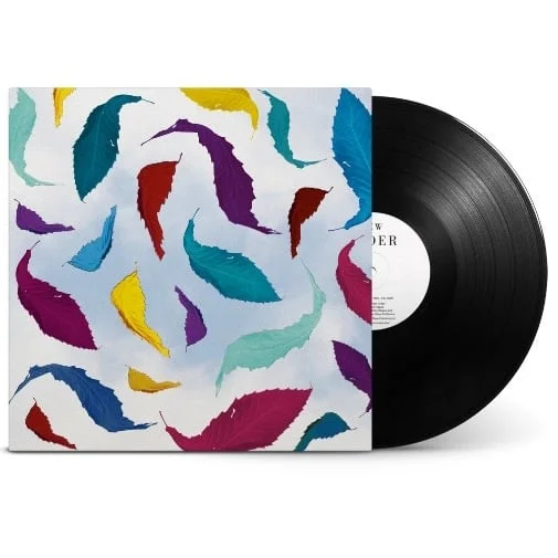 strangerthanparadiserecords202605071356122748456
