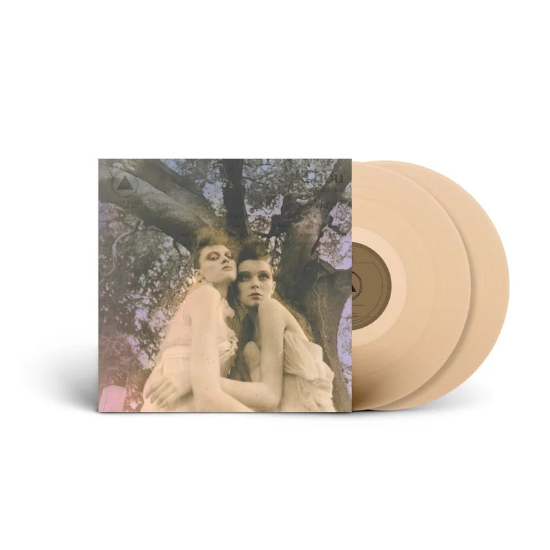strangerthanparadiserecords202605071719482778035